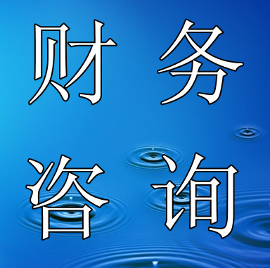 财税咨询1-一次性（须预约）