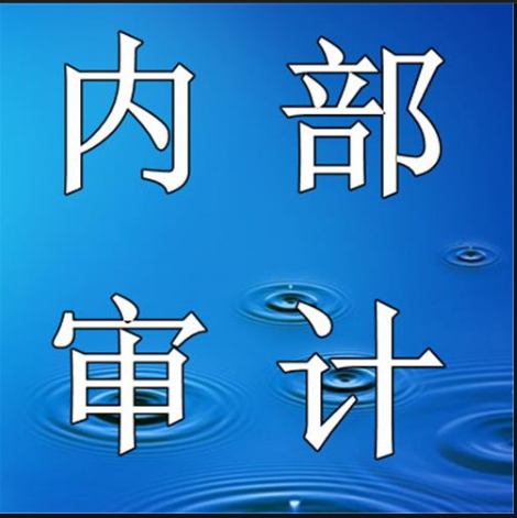 内部审计咨询1：1000元起（预付款）