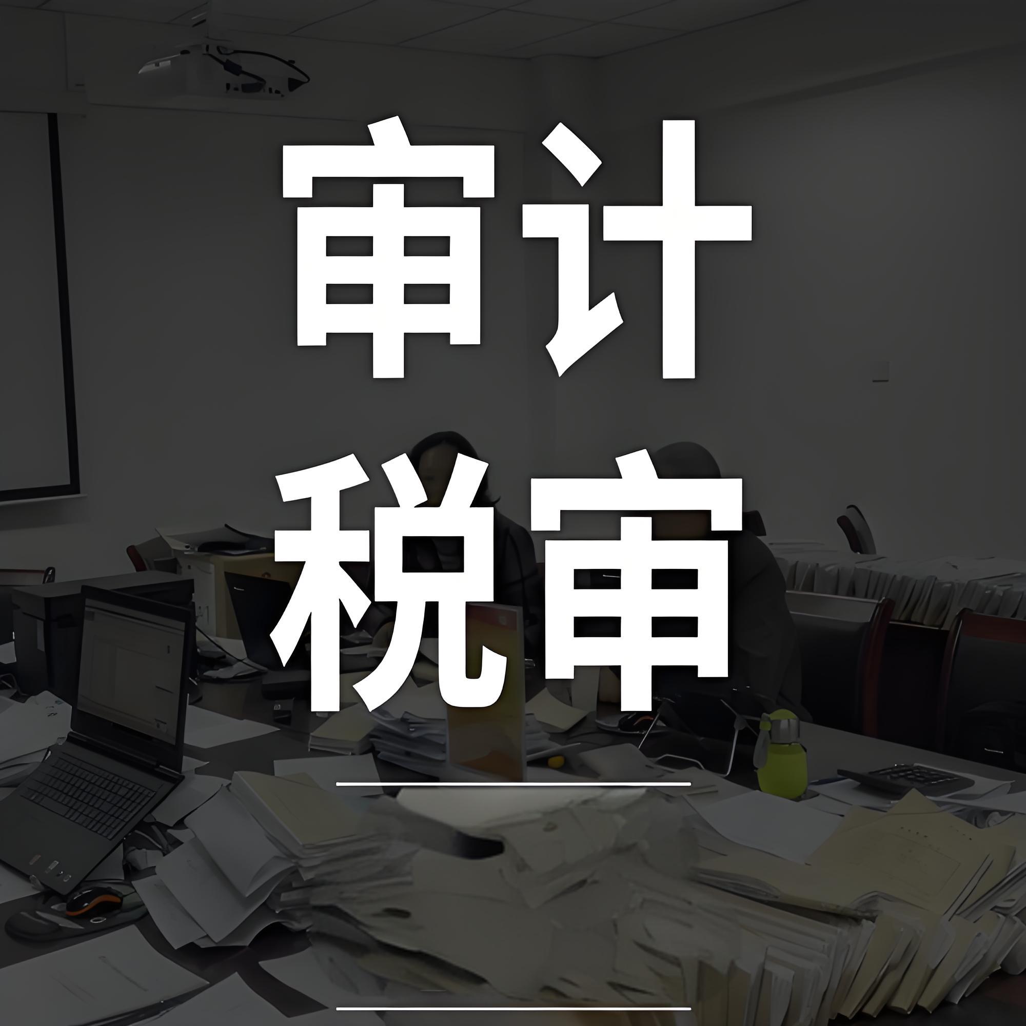 审计税审咨询1：1000元起（预付款）