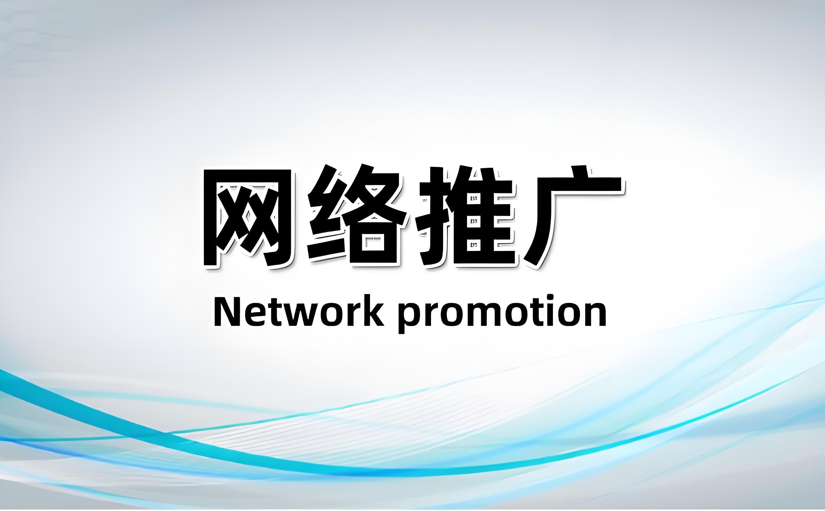 网站推广1：999（预付款）